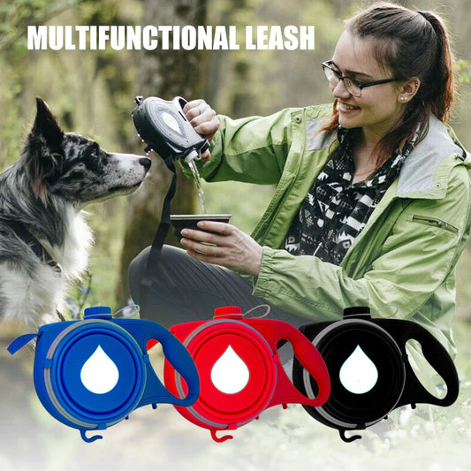2-in-1 dog leash